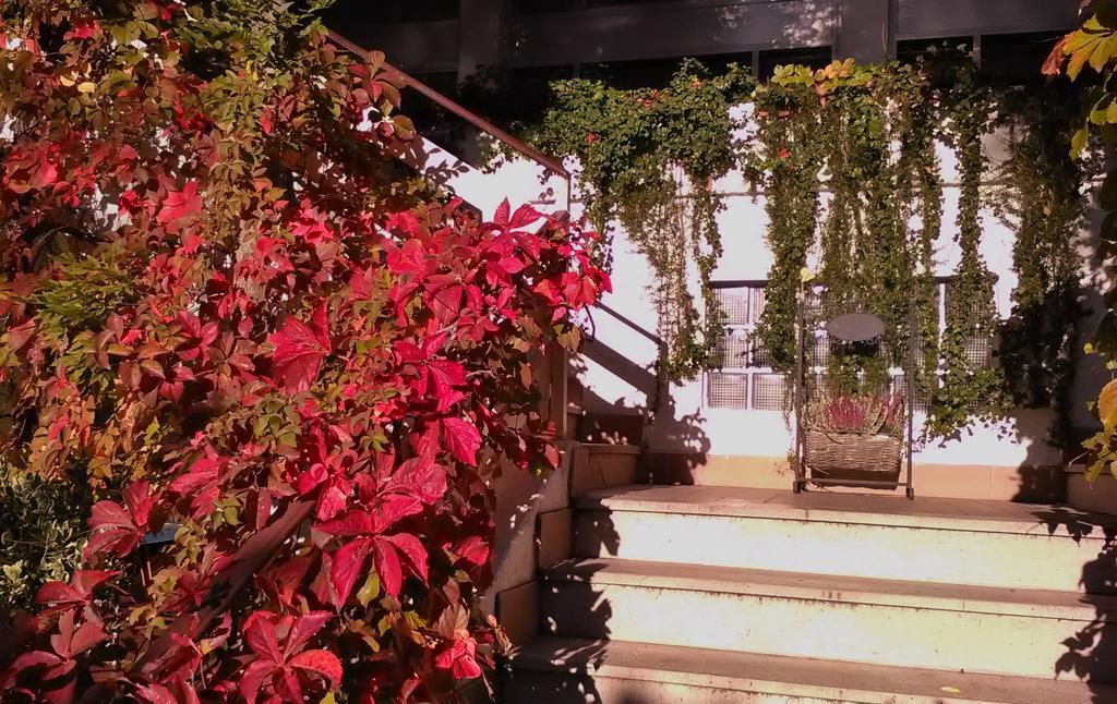 Hotel Ristorante Sole Муджа Экстерьер фото